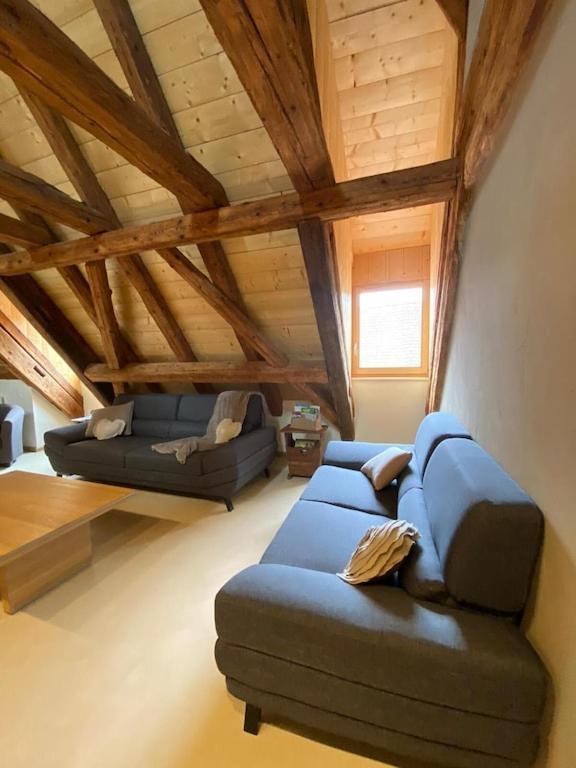 Maison De Charme En Alsace - In Vino Veritas - 12 Personnes Gueberschwihr Екстериор снимка
